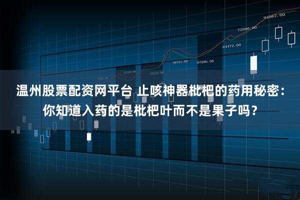 温州股票配资网平台 止咳神器枇杷的药用秘密：你知道入药的是枇杷叶而不是果子吗？