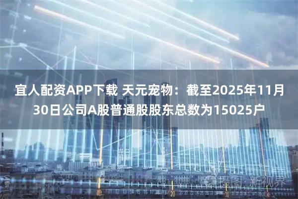 宜人配资APP下载 天元宠物：截至2025年11月30日公司A股普通股股东总数为15025户