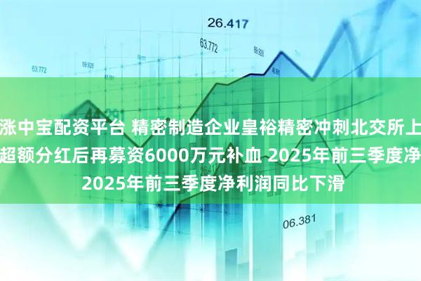 涨中宝配资平台 精密制造企业皇裕精密冲刺北交所上市:6800万元超额分红后再募资6000万元补血 2025年前三季度净利润同比下滑