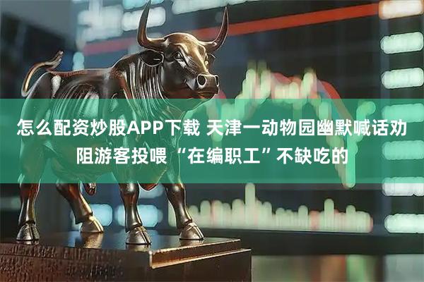 怎么配资炒股APP下载 天津一动物园幽默喊话劝阻游客投喂 “在编职工”不缺吃的