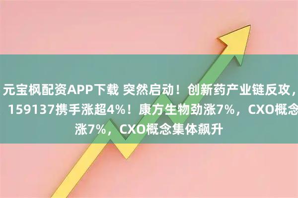 元宝枫配资APP下载 突然启动！创新药产业链反攻，520880、159137携手涨超4%！康方生物劲涨7%，CXO概念集体飙升