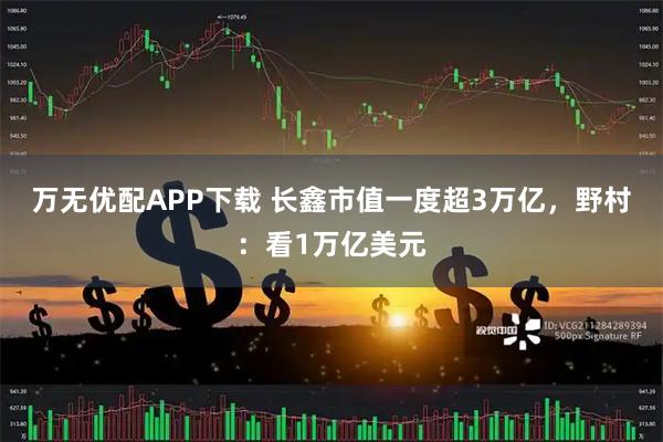 万无优配APP下载 长鑫市值一度超3万亿，野村：看1万亿美元